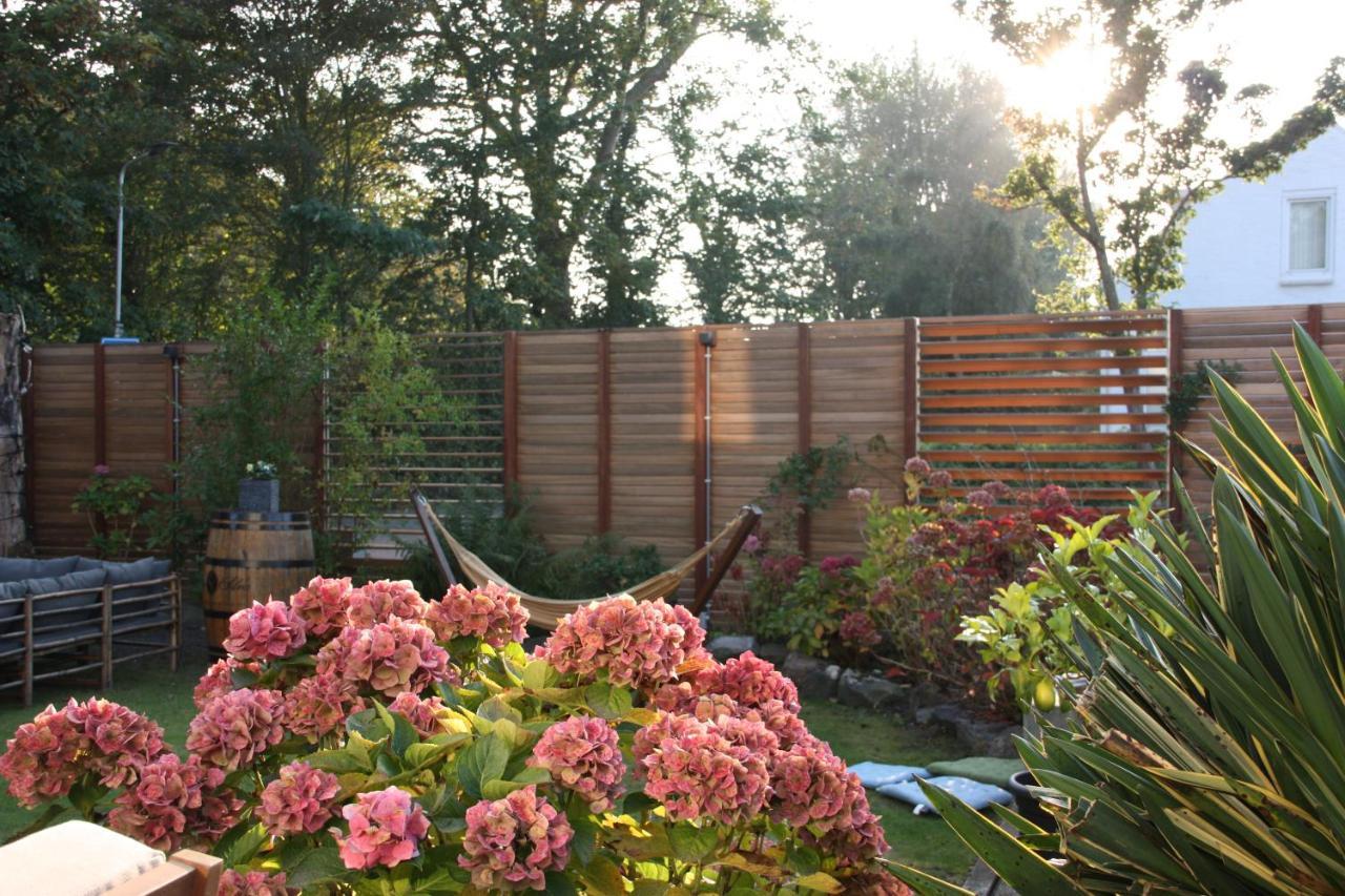 Maison Bellefleur B&B - Pension Renesse Exteriér fotografie