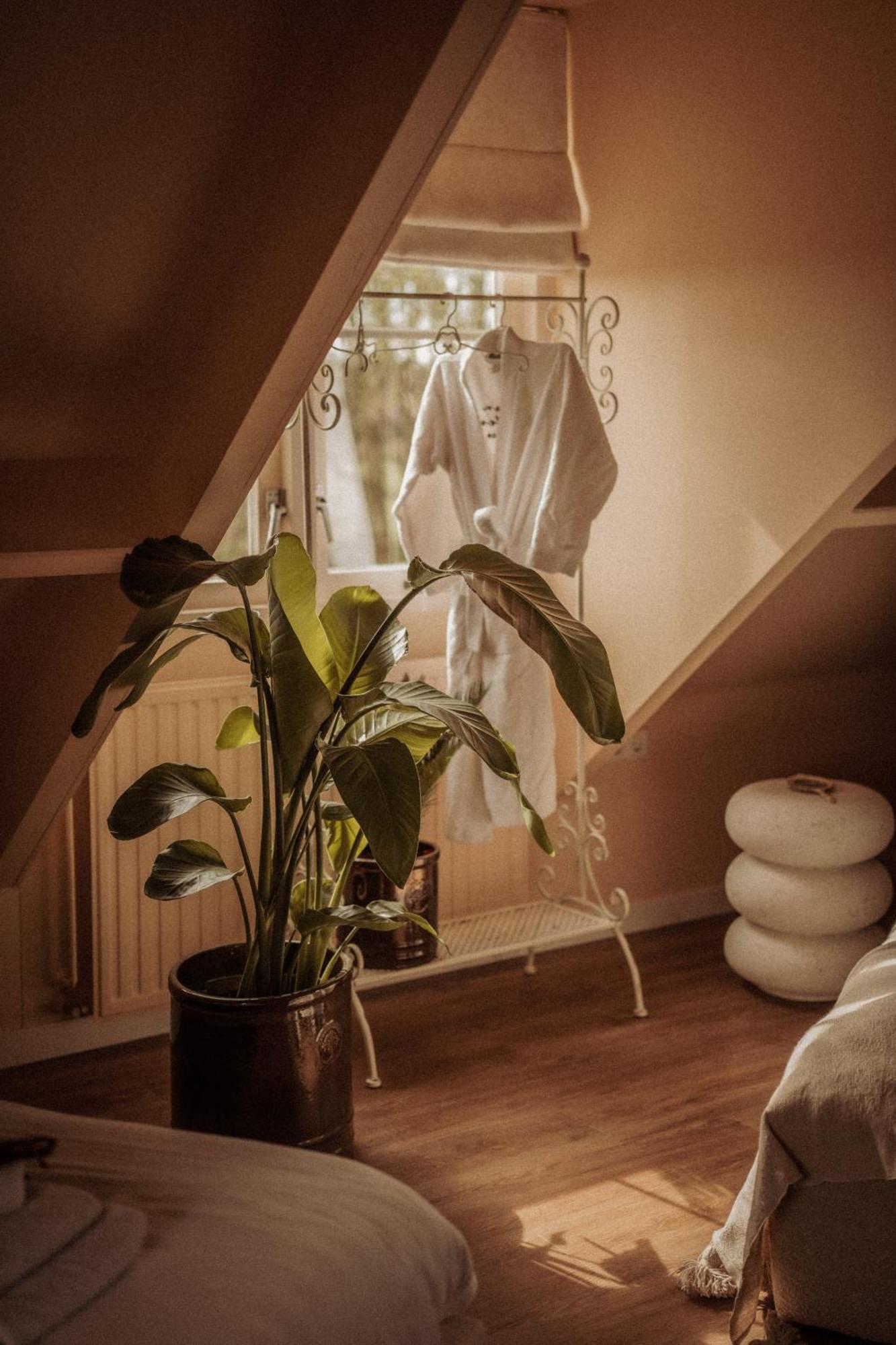 Maison Bellefleur B&B - Pension Renesse Exteriér fotografie